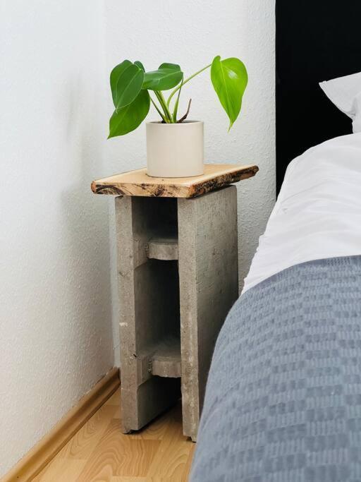 Apartment Zentrales Grosszuegiges Mit Dachterrasse! Bochum